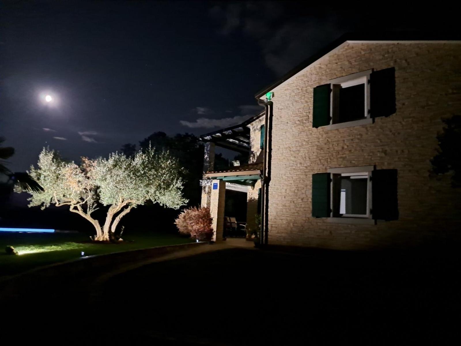 Apartments Villa Sotlar With Pool Umag Kültér fotó